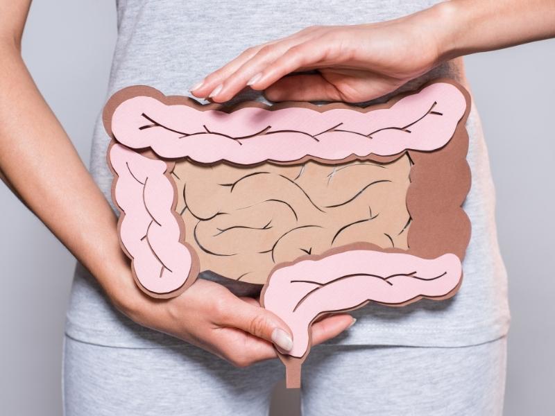 2 kg de bacterias en nuestro intestino 2-kg-de-bacterias-en-nuestro-intestino 